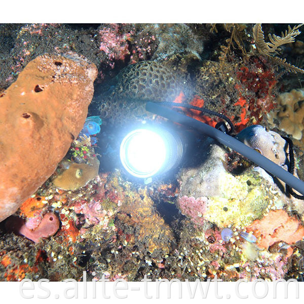 High Power IP68 Linterna impermeable SCUBA LED Linterna de buceo Torch 10000 Lumen